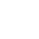 أساسيات التغذية